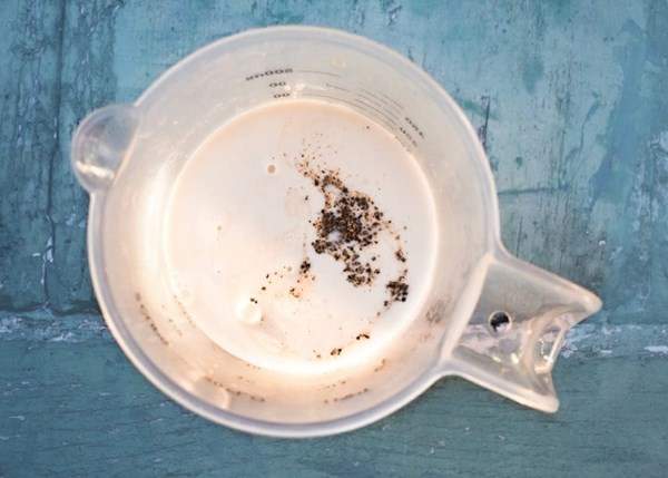 Creamy whisky sauce for veggie haggis