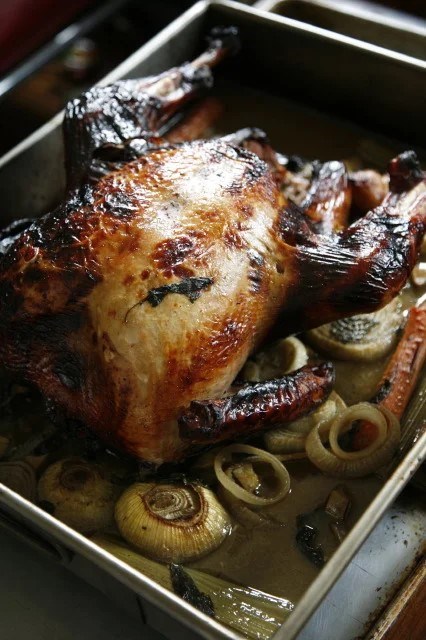 Crisp apple-scented roast turkey with cider-Calvados gravy