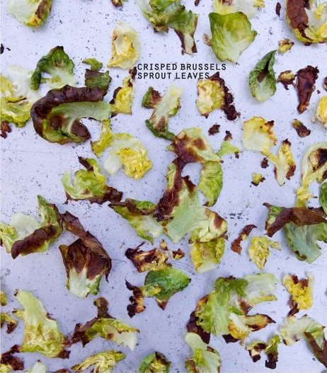 Crisped Brussels sprout leaves