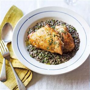 Crispy chicken with mustard and cream lentils