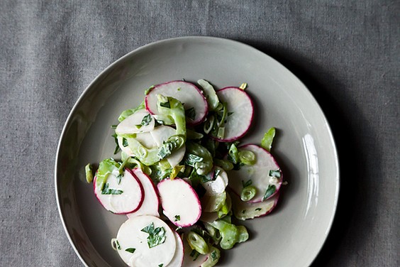 Crunchy celery, radish, and turnip salad-slaw in blue cheese sauce