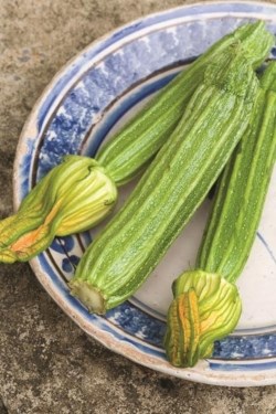 Crunchy summer vegetables with anchovy mayonnaise