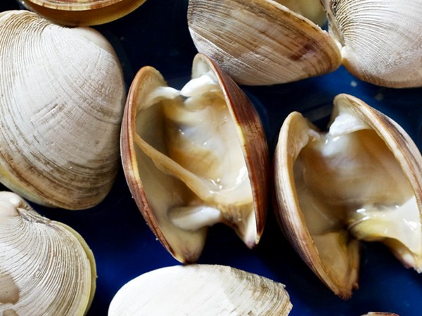 Cryo-shucked clams