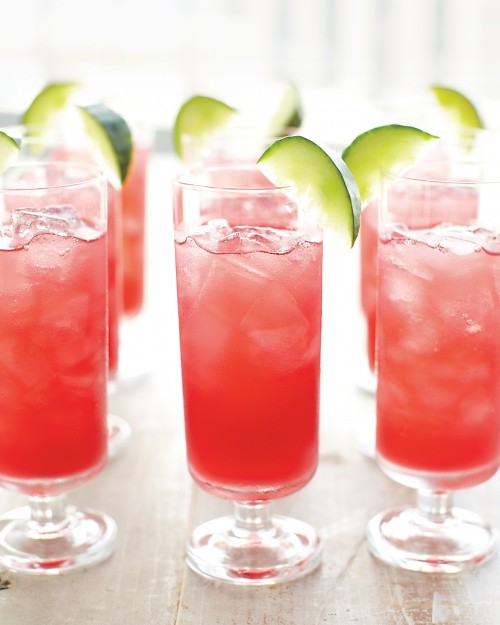 Cucumber cape codder