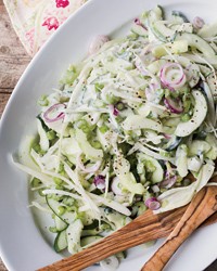 Cucumber-fennel salad with herbed goat yogurt