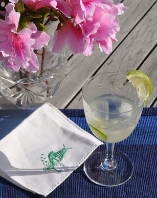 Cucumber-lime cocktail