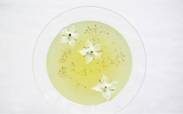 Cucumber martini 