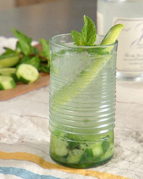 Cucumber-mint gin and tonic