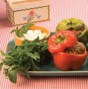 Cucumber-yogurt-mint sauce