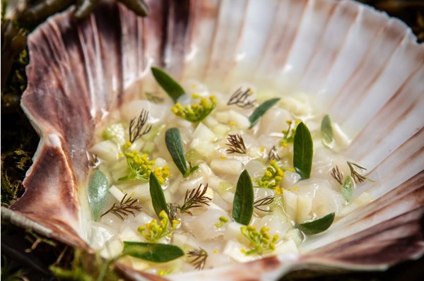 Cured fennel scallop tartare [Amy Elles]