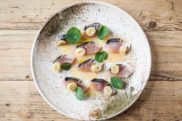 Cured mackerel, fermented gooseberries, elderflower