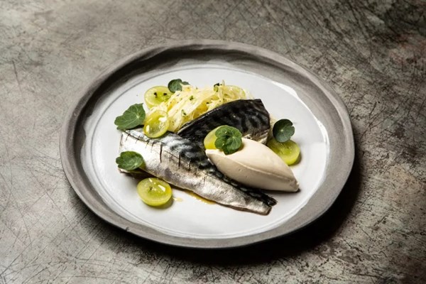 Cured mackerel, gooseberry, spring slaw, crème fraîche
