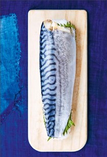 Cured mackerel-pressed sushi