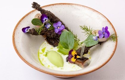 Cured mackerel with cucumber, dill and buttermilk