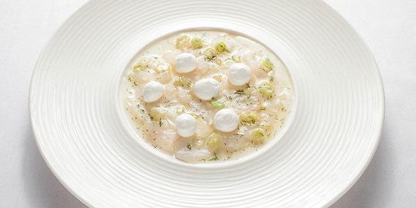 Cured monkfish, ginger and spring onion dressing, yoghurt