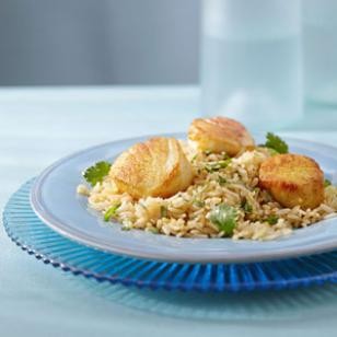 Curry scallops & cilantro rice