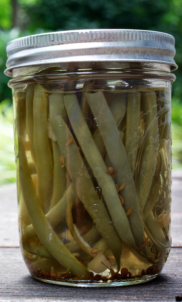 Curry spiced pickled green beans