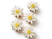 Daisy cupcakes 