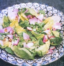 Damascus garden salad