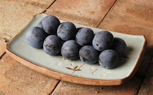 Damson and gin sorbet