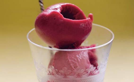 Damson and gin sorbet