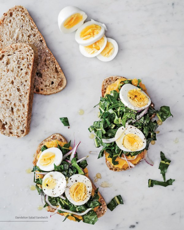 Dandelion salad sandwich
