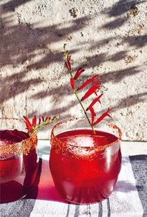Dano's Negroni
