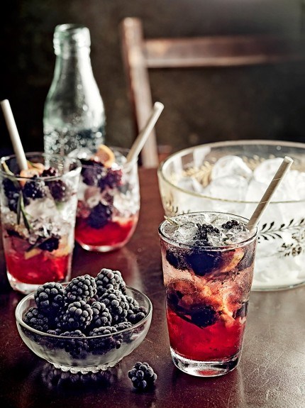 Dark berry & rosemary-juniper gin fizz