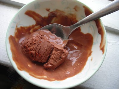 Dark chocolate goji berry ice cream