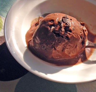 Dark chocolate ice cream with cocoa nibs