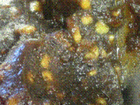 Date paste filling with toasted walnuts [for mooncakes] (Hétáo zǎoní / 核桃棗泥)