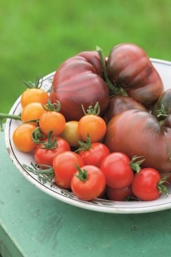 De Kas tomato jam