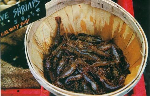 Deep-fried Galway Bay shrimps
