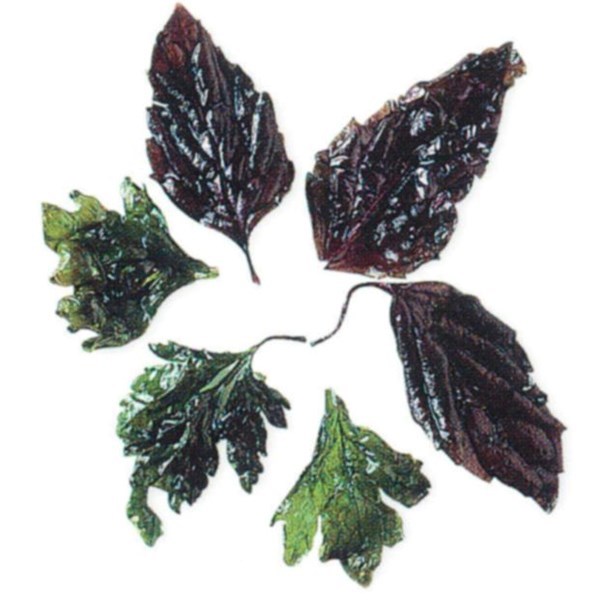 Deep-fried herbs