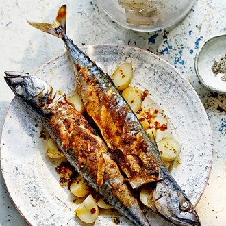 Devilled mackerel