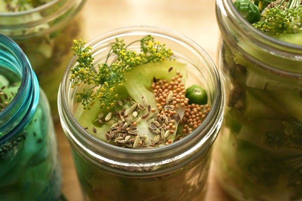 Dill & fish pepper pickled green tomato slices