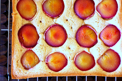 Dimply plum cake