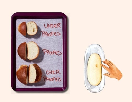 Dinner rolls