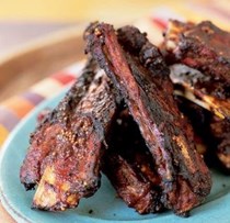 Dinosaur ribs
