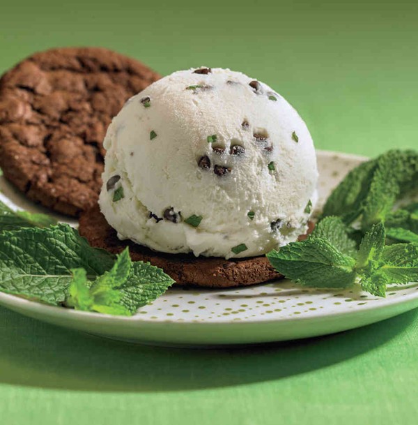 Dirty mint chip ice cream