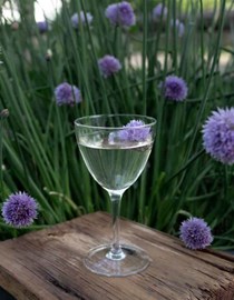 Dirty ramp martini