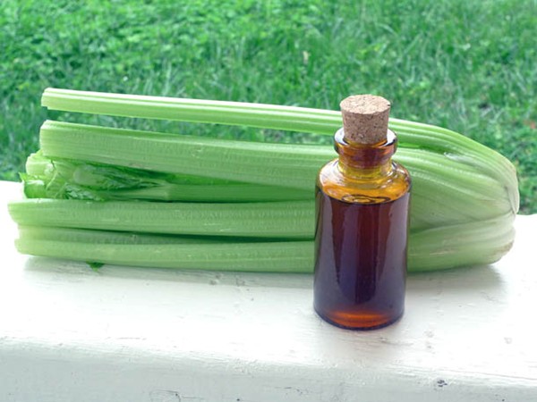 DIY celery bitters