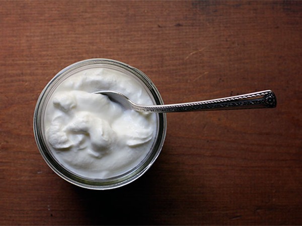 DIY homemade Greek yogurt