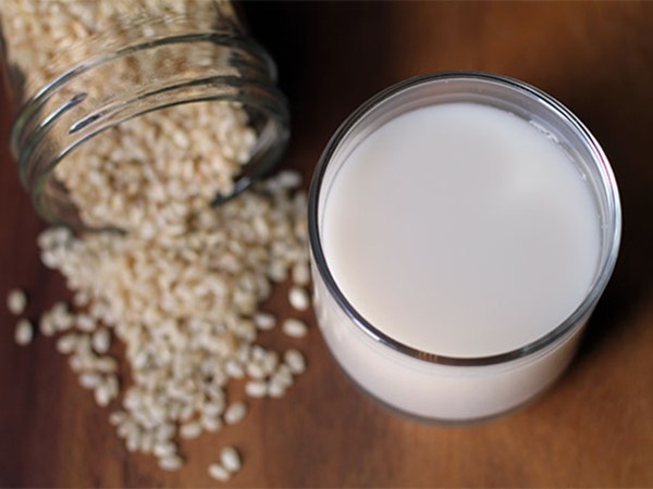 DIY rice milk