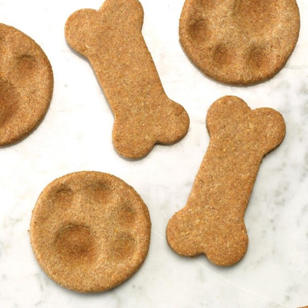 Dog biscuits [for dogs]