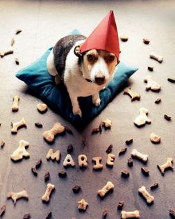 Doggy biscuits