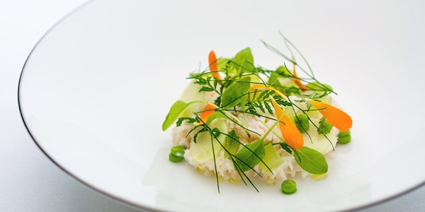 Dorset crab salad, apple, cucumber, lemon verbena, herb mayonnaise