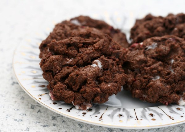 Double chocolate candy cane cookies
