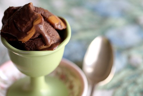 Double chocolate peanut butter ice cream