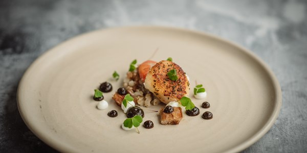 Double-dived scallops, burnt aubergine purée, pork belly and fermented grains